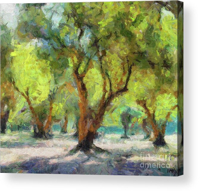 Nature Acrylic Print featuring the painting Olive Grove #1 by Dragica Micki Fortuna