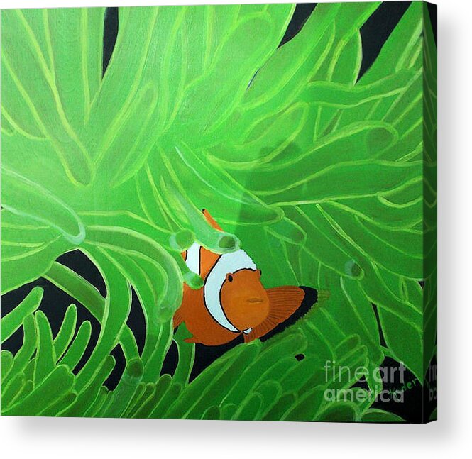 Seascape Acrylic Print featuring the drawing Clownfish #2 by Sherri Gill