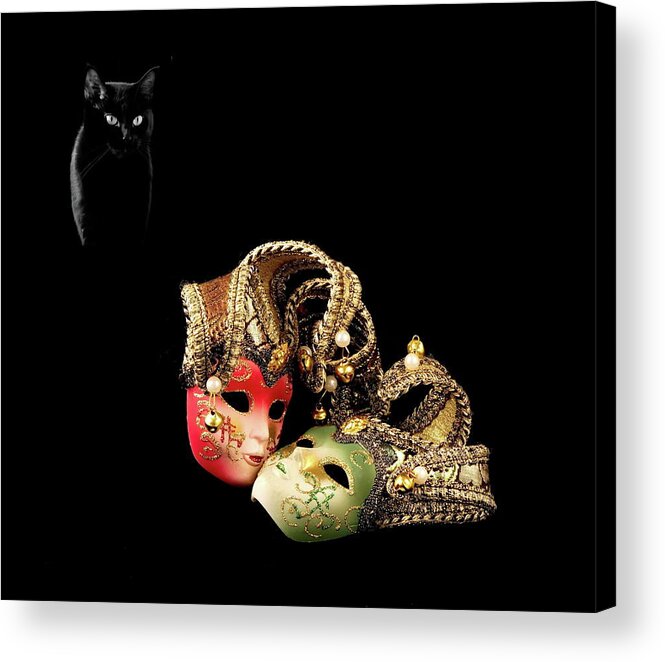 Alex Lyubar Acrylic Print featuring the photograph Black cat and love by Alex Lyubar