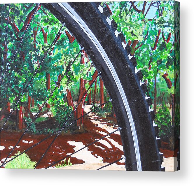 Mountain Bike Acrylic Print featuring the painting Bosque Singletrack by Susan M Woods