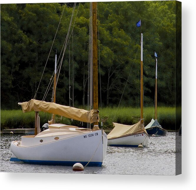 Cape Cod Acrylic Print featuring the photograph Cat Boats by Michael Friedman