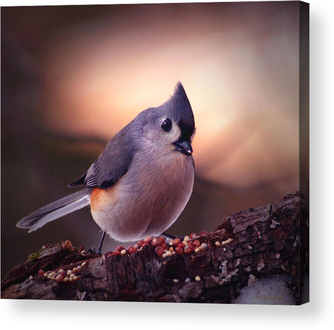 Birds Acrylic Print featuring the photograph Country Mouse... by Arthur Miller