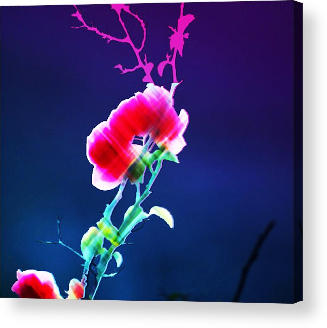 Nature Acrylic Print featuring the painting Digital 1 by Anil Nene