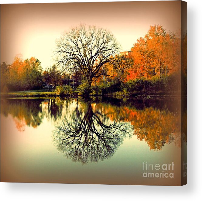 Photography Acrylic Print featuring the photograph Double Take by Nancy Kane Chapman