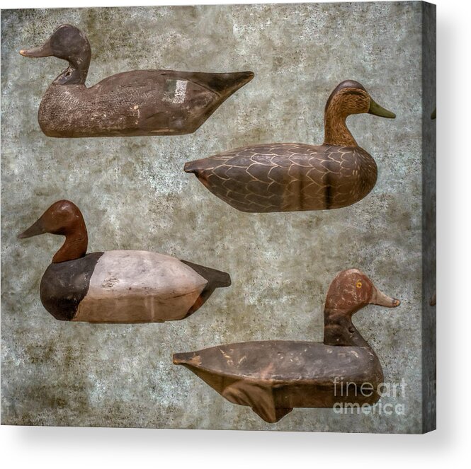 Duck Decoys On Brown Acrylic Print featuring the digital art Duck Decoys on Brown by Randy Steele