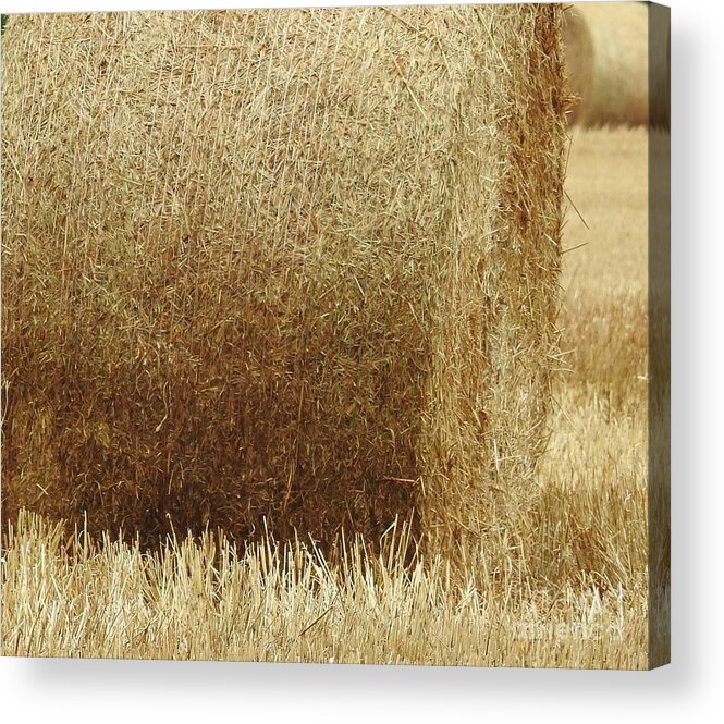 Hay Acrylic Print featuring the photograph Fields Of Hay by Jan Gelders