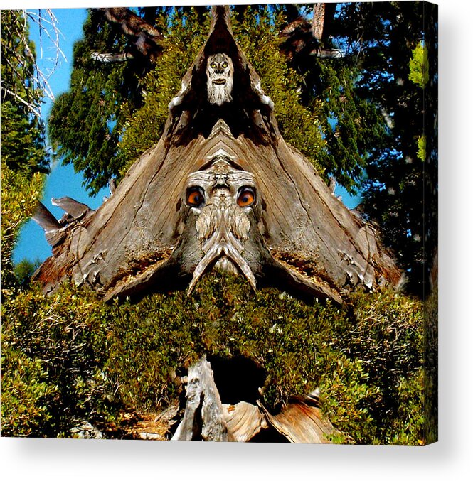 Fantasy Acrylic Print featuring the photograph Gaurdian Of The Woods by Bob Welch