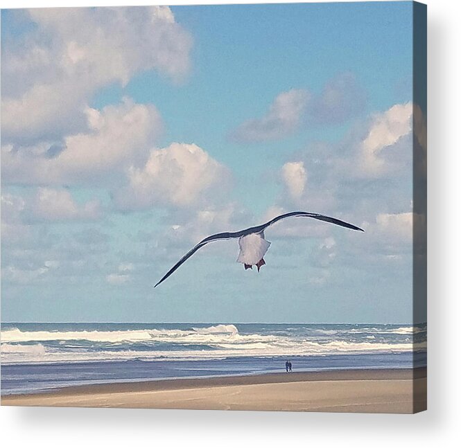 Seagulls Acrylic Print featuring the photograph Gull Getaway by Suzy Piatt
