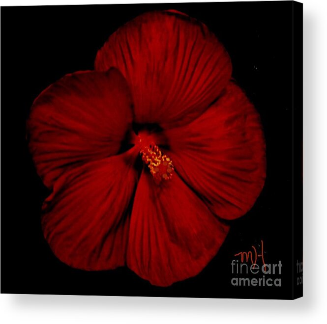 Photo Acrylic Print featuring the photograph Hibiscus By Moonlight by Marsha Heiken