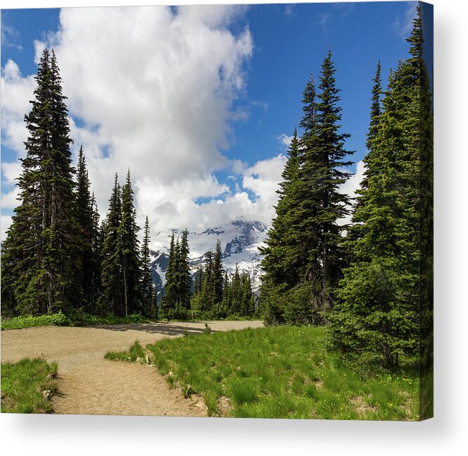 Washington Acrylic Print featuring the photograph Hiking Path into the trees by Roslyn Wilkins