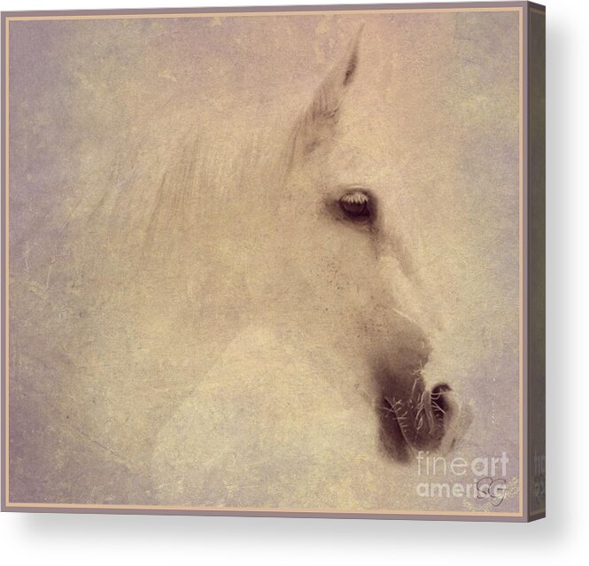 Horse Acrylic Print featuring the digital art Monique in pastels by Mindy Bench