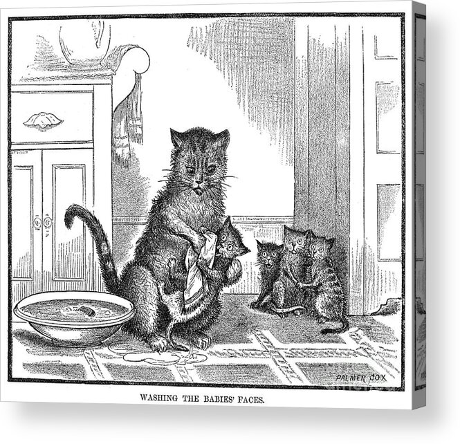 1880 Acrylic Print featuring the photograph Mother Cat, 1880 by Granger