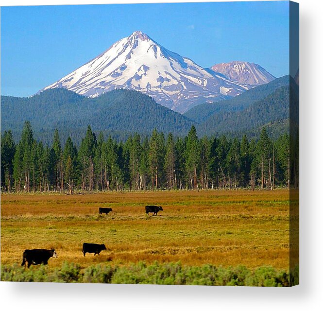 Mt. Shasta Acrylic Print featuring the photograph Mt. Shasta Morning by Betty Buller Whitehead