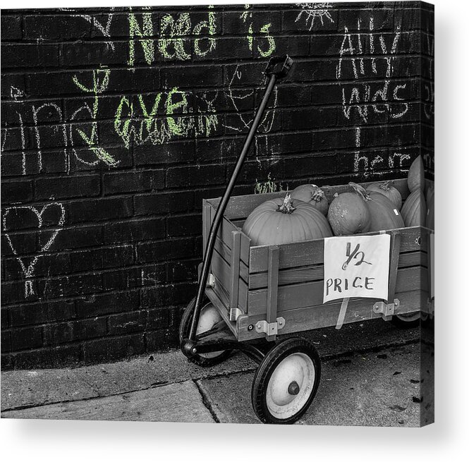  Acrylic Print featuring the photograph Need is Love by Rodney Lee Williams