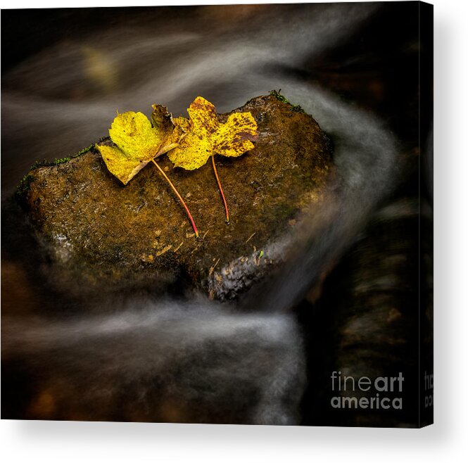 Autumn Acrylic Print featuring the photograph On The Rocks by Adrian Evans