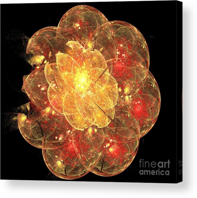  Apophysis Acrylic Print featuring the digital art Orange Blossom Flower by Kim Sy Ok
