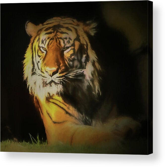Tiger Acrylic Print featuring the digital art Painted Tiger by Kandy Hurley
