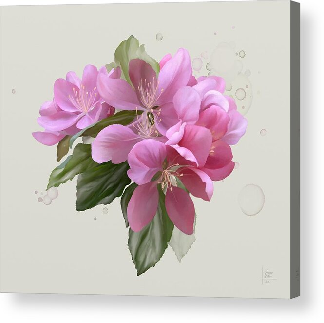  Floral Acrylic Print featuring the painting Pink blossoms by Ivana Westin