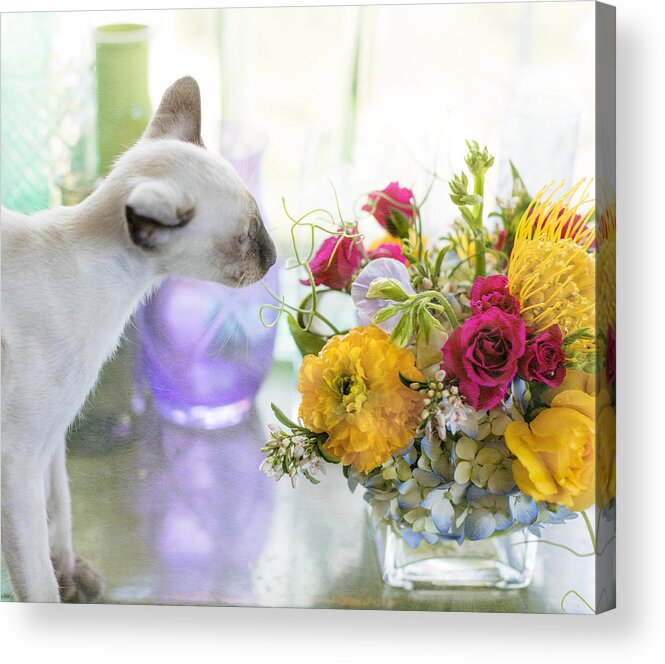 Pua Acrylic Print featuring the photograph Pua by Jade Moon