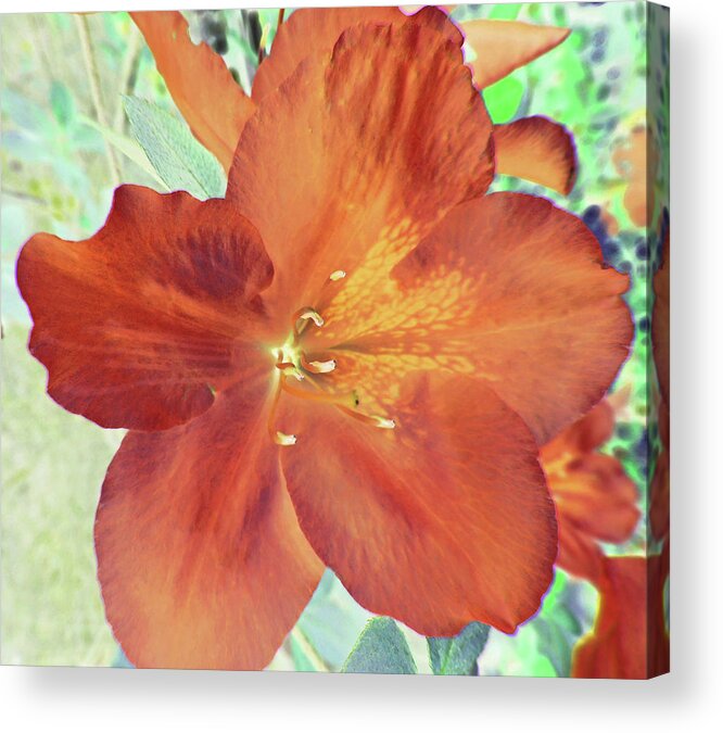 Photography Acrylic Print featuring the digital art Red Azalea Jewel Abstract by Marian Bell