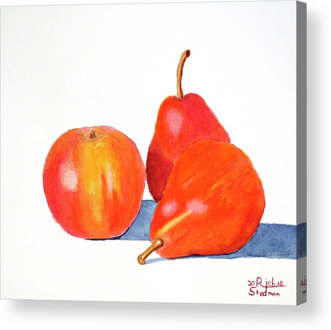 Pear Acrylic Print featuring the painting Ripe and Ready to Eat by Richard Stedman