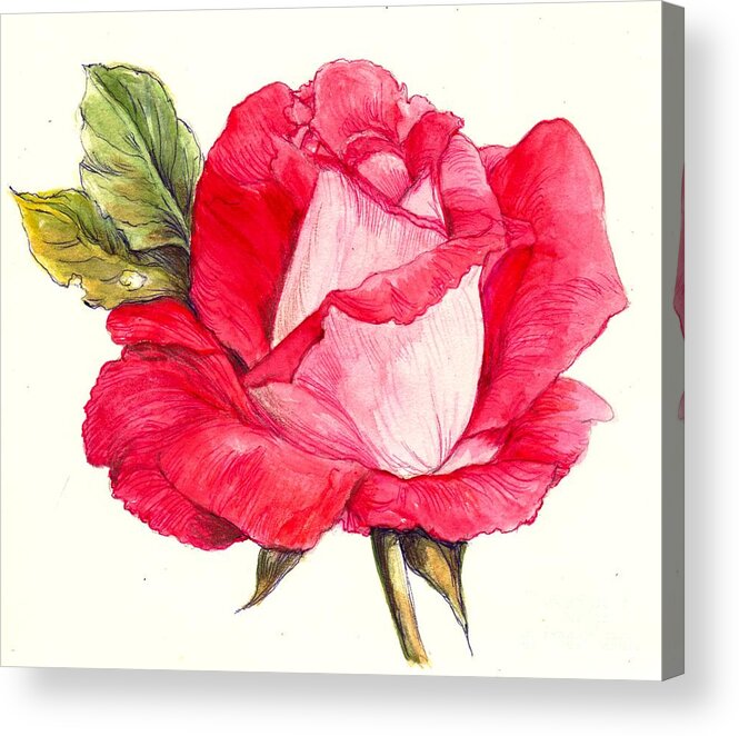 Rose Acrylic Print featuring the painting Rose by Morgan Fitzsimons