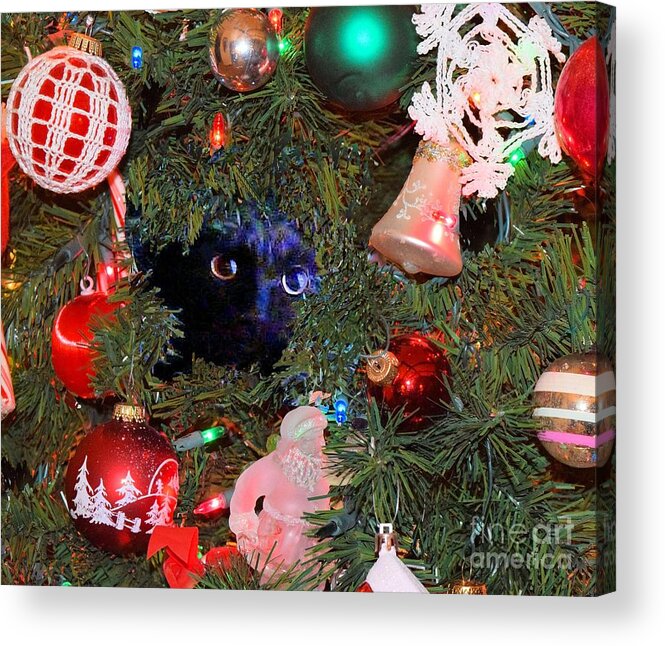 Salem Acrylic Print featuring the photograph Salem in Christmas Tree by Janette Boyd