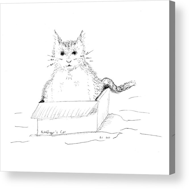 Cat Acrylic Print featuring the drawing Schrodinger Cat by Regina Valluzzi