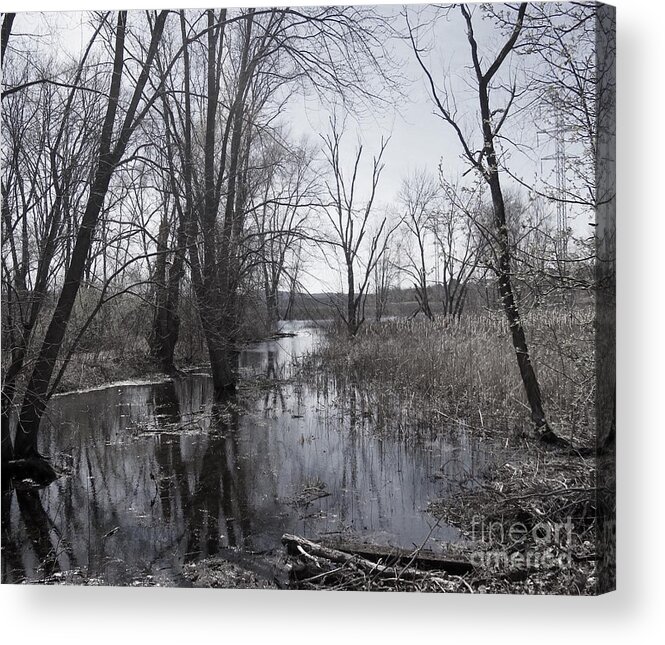 Serene Acrylic Print featuring the photograph Serene Swampy River by Beth Myer Photography