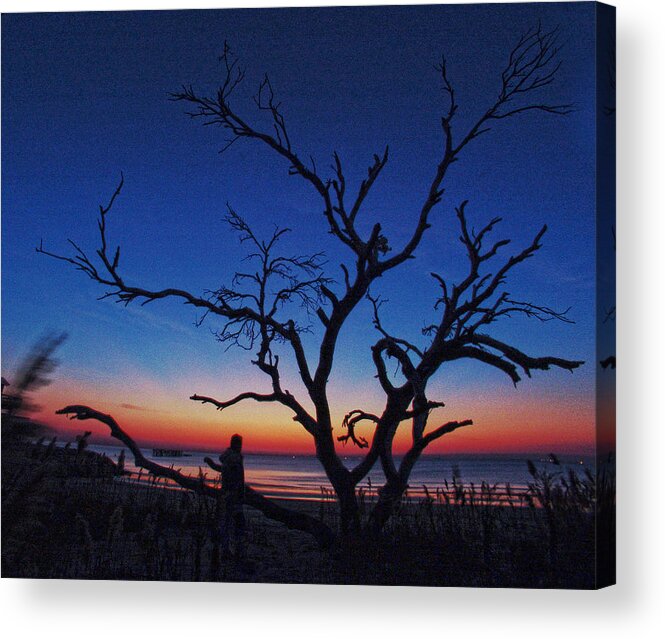 Tree Beach Night Sea Ocean Shore Sand Walk Alone Peace Acrylic Print featuring the photograph Sunrise Beach by Robert Och