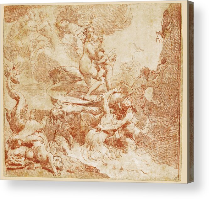 Gaetano Gandolfi Acrylic Print featuring the drawing The Triumph of Venus by Gaetano Gandolfi