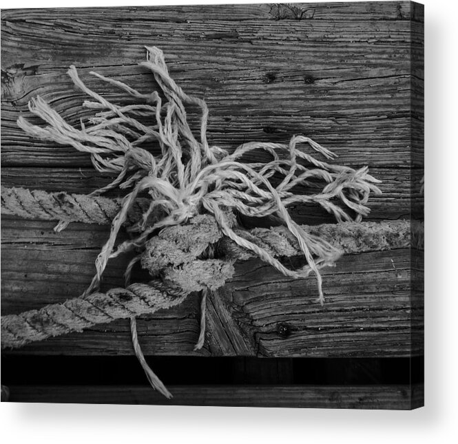 Black And White Acrylic Print featuring the photograph Ties that Bind by Leslie Revels