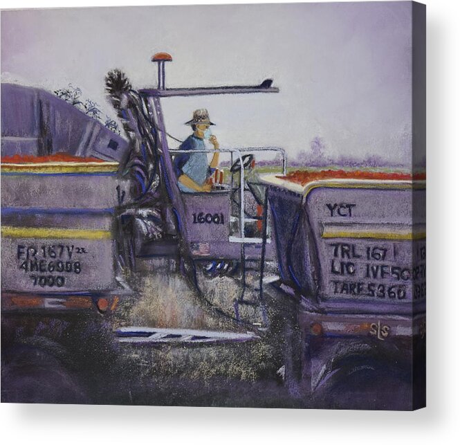Tractor Acrylic Print featuring the pastel Tomato Harvest TIme by Sandra Lee Scott
