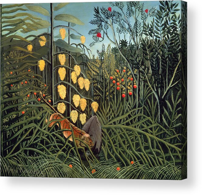 Tropical Forest Acrylic Print featuring the painting Tropical Forest Battling Tiger and Buffalo by Henri Rousseau