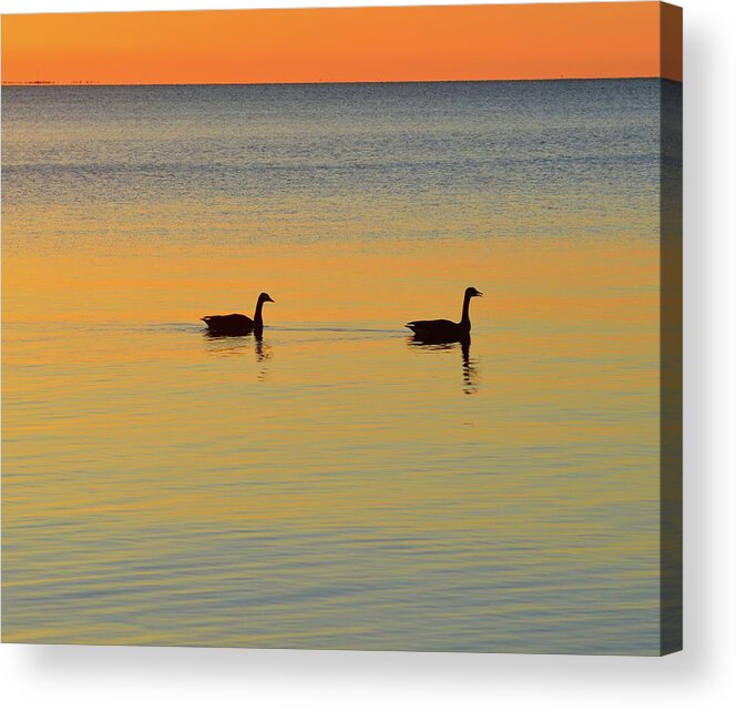 Abstract Acrylic Print featuring the digital art Two Canadian Geese by Lyle Crump