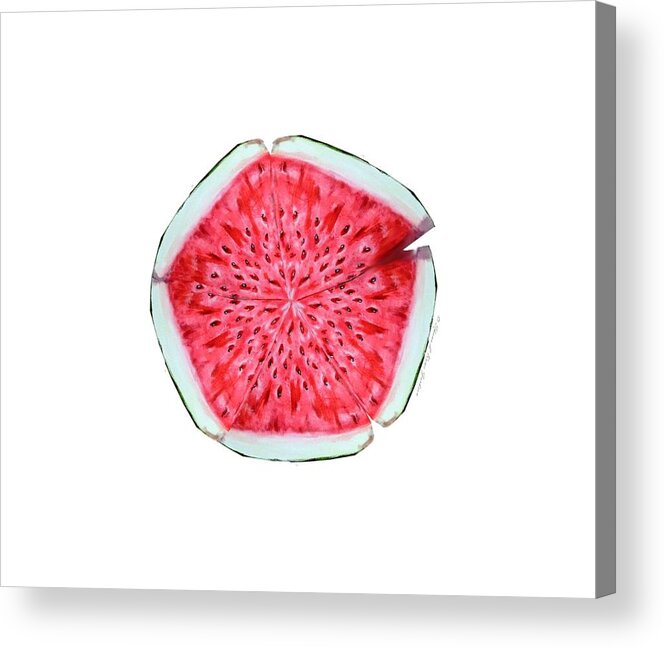 Fruit Acrylic Print featuring the painting Watermelon Star Wheel by Shana Rowe Jackson