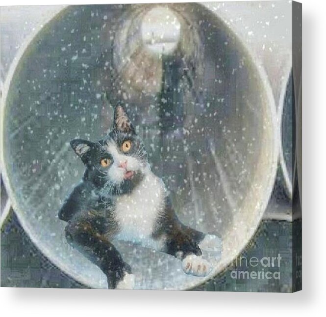 Snow Acrylic Print featuring the photograph What is that? by Janette Boyd