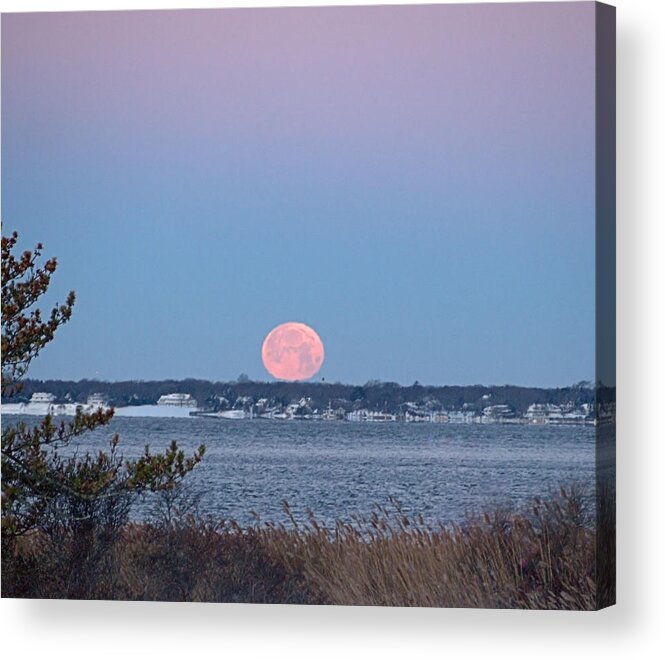 Moon Acrylic Print featuring the photograph Wolf Moon I I I by Newwwman