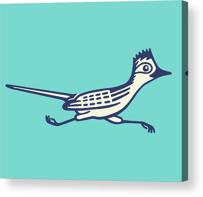 Activity Acrylic Print featuring the drawing Roadrunner #1 by CSA Images