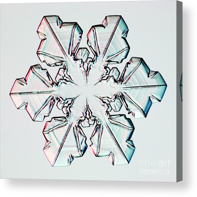 Meteorological Acrylic Print featuring the photograph Snowflake #50 by Kenneth Libbrecht/science Photo Library