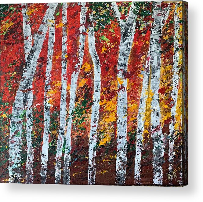 Birch Trees Acrylic Print featuring the painting Birch Trees Late Summer by Raji Musinipally