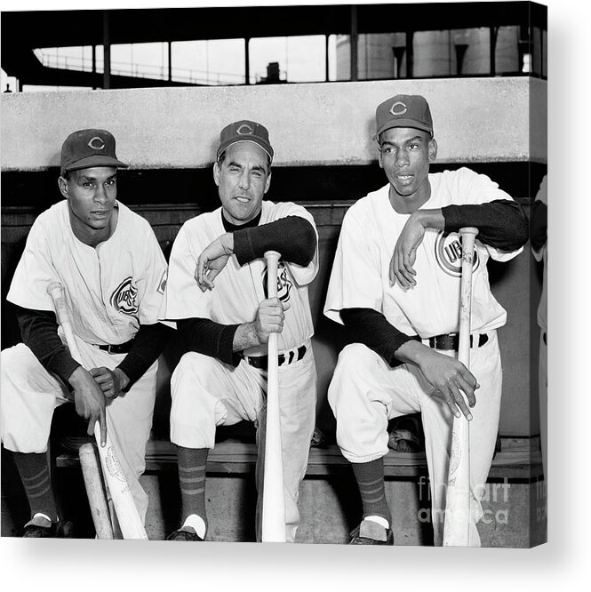 People Acrylic Print featuring the photograph Cubs Manager Posing With Two Players by Bettmann