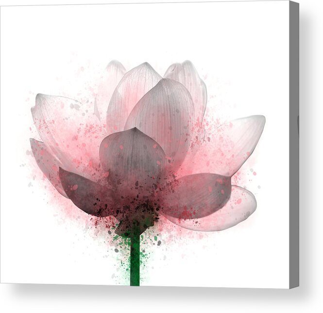 Flower Acrylic Print featuring the digital art Flower 6 by Lucie Dumas