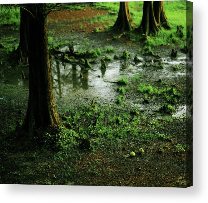 Tranquility Acrylic Print featuring the photograph In The Forest by Sunnywinds