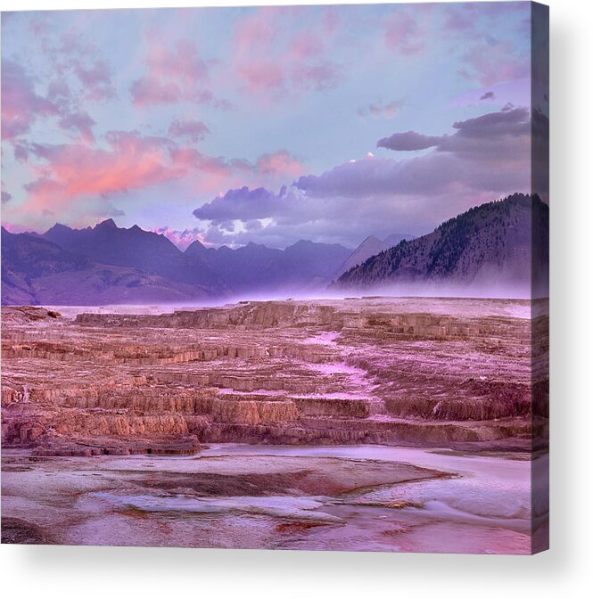 00586223 Acrylic Print featuring the photograph Minerva Terrace, Yellowstone National Park, Wyoming by Tim Fitzharris