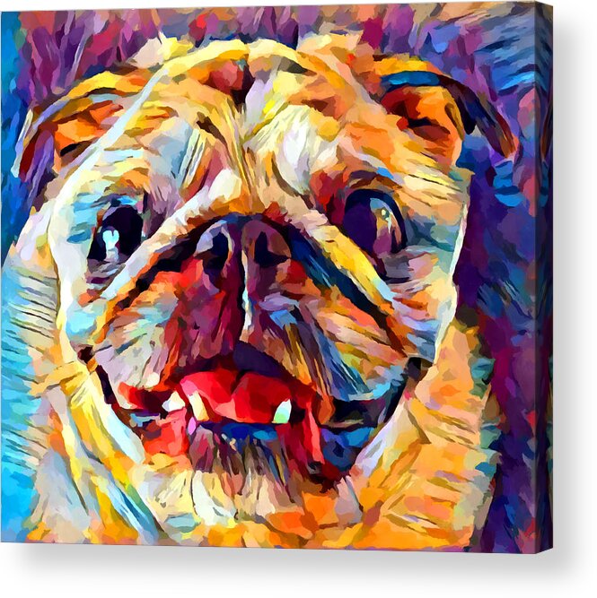 Pug Acrylic Print featuring the painting Pug 4 by Chris Butler