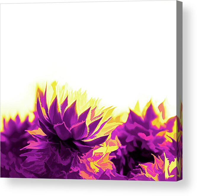 Houseleek Acrylic Print featuring the digital art Purple and Yellow Houseleeks by Scott Lyons