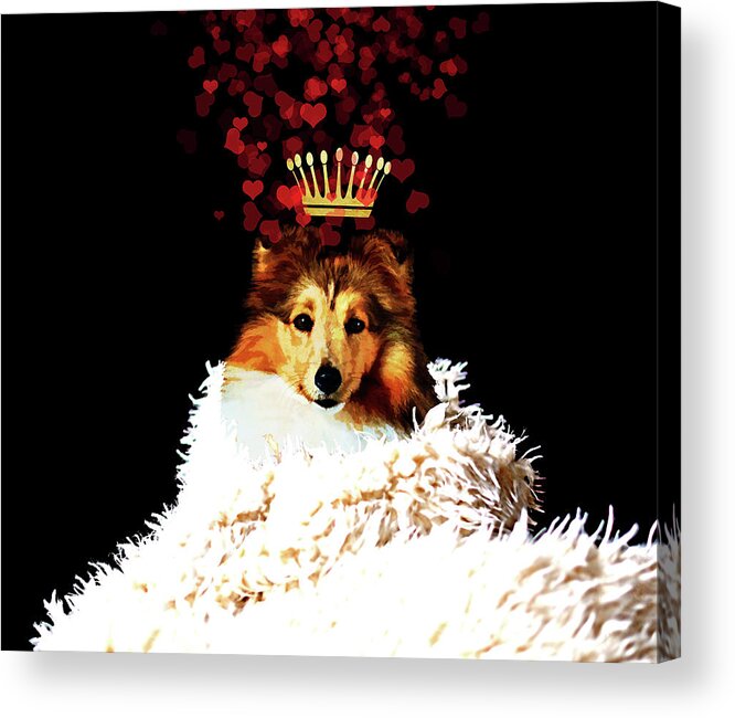 Royal Love Pup - Sheltie Acrylic Print featuring the digital art Royal Love Pup - Sheltie by Tina Lavoie