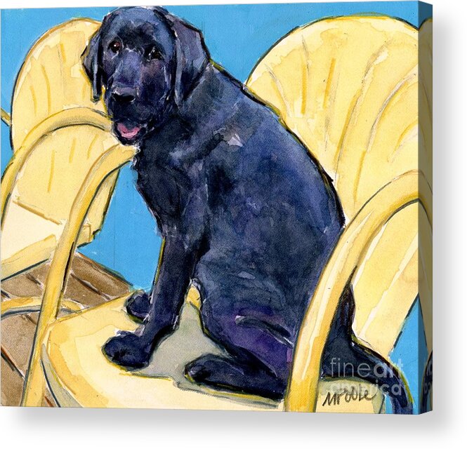 Black Lab Acrylic Print featuring the painting Sitting Pretty by Molly Poole