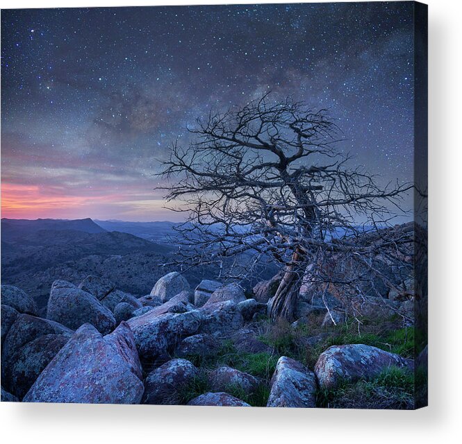 00559646 Acrylic Print featuring the photograph Stars Over Pine, Mount Scott by Tim Fitzharris
